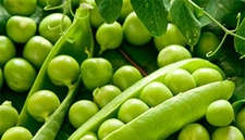 Bezelye Besin Değeri Nedir ve Kaç Olmalıdır?