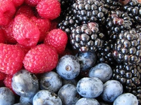 Kan Yapan Besinler Nelerdir?