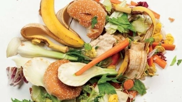 Besin Kirliliği Nedenleri?